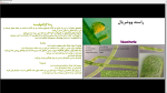 دانلود پی دی اف جزوه تالوفیتها 219 صفحه PDF-1