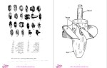 دانلود پی دی اف جزوه توربو ماشین 148 صفحه PDF-1