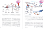 دانلود پی دی اف کتاب آسیب شناسی پایه رابینز علیرضا فتح اللهی 510 صفحه PDF-1