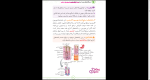 دانلود پی دی اف کتاب دستگاه های بدن انسان مهروماه 320 صفحه PDF-1