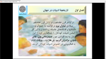 دانلود پی دی اف جزوه ادبیات کودکان 201 صفحه PDF-1