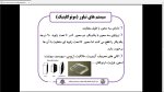 دانلود پی دی اف جزوه بلور شناسی مقدماتی 42 صفحه PDF-1
