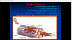 دانلود پی دی اف جزوه عضله شناسی 2 45 صفحه PDF-1