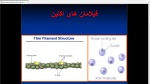 دانلود پی دی اف جزوه عضله شناسی 2 45 صفحه PDF-1