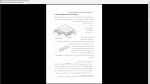 دانلود پی دی اف جزوه انواع سقف های مسطح 39 صفحه PDF-1
