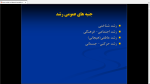 دانلود پی دی اف جزوه رشد و تکامل حرکتی 67 صفحه PDF-1