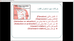 دانلود پی دی اف جزوه عضلات بدن انسان 151 صفحه PDF-1
