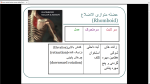 دانلود پی دی اف جزوه عضلات بدن انسان 151 صفحه PDF-1