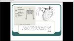 دانلود پی دی اف جزوه عضلات بدن انسان 151 صفحه PDF-1