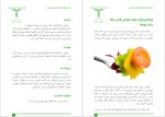 دانلود پی دی اف کتاب راهکارهای درمان ریزش مو نصیر دهقان 22 صفحه PDF-1