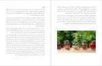 دانلود پی دی اف کتاب هفده چاشنی هندی پارکاش بینز 22 صفحه PDF-1