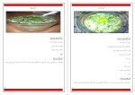 دانلود پی دی اف کتاب غذاهای پخته به صورت خام زرین آذر 36 صفحه PDF-1