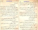 دانلود پی دی اف کتاب عشق آتشین عزیز نسین 270 صفحه PDF-1