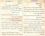 دانلود پی دی اف کتاب عشق آتشین عزیز نسین 270 صفحه PDF-1