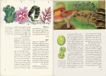 دانلود پی دی اف کتاب دانشنامه عمومی جهان گیاهان و جانوران یک محمود بهزاد 136 صفحه PDF-1