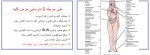 معرفی و دانلود رایگان کتاب نارسایی کلیه و دیالیز بهنام مسموعی-1