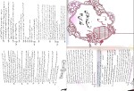 معرفی و دانلود کتاب لغت و املا (نظام جدید) علیرضا عبدالمحمدی-1
