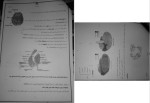 معرفی و دانلود جزوه نورو آناتومی علوم پایه فرزانه رحمانی-1