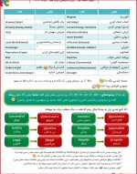 معرفی و دانلود جزوه دقیقه 90 زبان مرتضی عیدی-1