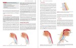 معرفی و دانلود رایگان کتاب طب اورژانس جودیس تینتینالی-1