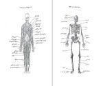 معرفی و دانلود جزوه تربیت بدنی ابوالفضل فراهانی-1