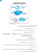 معرفی و دانلود جزوه ‌فارماکولوژی۲‌ خیاط-1