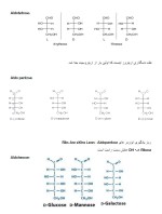 معرفی و دانلود جزوه ‌بیوشیمی‌ نمازی-1