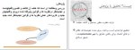 معرفی و دانلود جزوه روش تحقیق در مدیریت (شماره 1) مریم چراغ-1