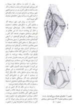 معرفی و دانلود مقاله نور و آتش در شهر سوخته سید منصور سجادی-1