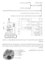 معرفی و دانلود جزوه ‌بیوشیمی پزشکی‌ رشته شیمی-1