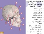 معرفی و دانلود جزوه ‌آناتومی۲‌ رشته پزشکی-1