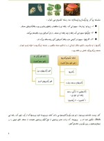 معرفی و دانلود جزوه ‌میکروبیولوژی عمومی‌ رشته شیمی-1