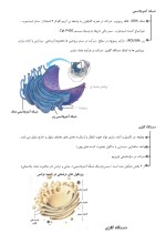 معرفی و دانلود جزوه ‌بیوشیمی پزشکی‌ رشته شیمی-1