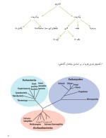 معرفی و دانلود جزوه ‌میکروبیولوژی عمومی‌ رشته شیمی-1