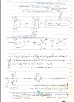 معرفی و دانلود جزوه ‌بیوشیمی‌ رشته شیمی-1