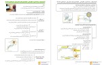 معرفی و دانلود جزوه جمع بندی زیست یازدهم پروژه دانلود-1