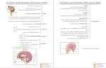 معرفی و دانلود جزوه جمع بندی زیست یازدهم پروژه دانلود-1