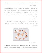 معرفی و دانلود جزوه آزمایشگاه میکروبیولوژی 1 نازیلا قربان حسینی-1