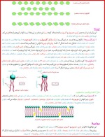 معرفی و دانلود جزوه زیست شناسی دهم غلام حسن ویس کرمی-1