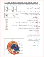 معرفی و دانلود جزوه جمع بندی زیست دهم محبوبه فردوسی مکان-1