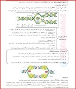معرفی و دانلود جزوه جمع بندی زیست 3 محبوبه فردوسی مکان-1