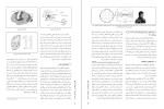 معرفی و دانلود مقاله واسط های مغز سعید رضا خرد پیشه-1