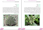 دانلود پی دی اف کتاب گیاهان بخش آب پخش 35 صفحه PDF-1