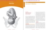 دانلود پی دی اف کتاب بارداری و زایمان ویلیامز 1376 صفحه PDF-1