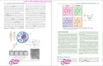 دانلود پی دی اف کتاب ژنتیک پزشکی تامپسون 512 صفحه PDF-1