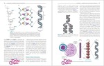 دانلود پی دی اف کتاب تکست ژنتیک پزشکی تامپسون 512 صفحه PDF-1