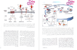دانلود پی دی اف کتاب آسیب شناسی رابینز دکتر علیرضا فتح اللهی 510 صفحه PDF-1