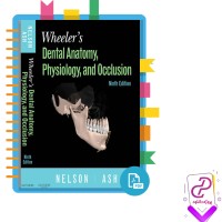 دانلود پی دی اف کتاب آناتومی دندان، فیزیولوژی و انسداد دندان ویلر 394 صفحه PDF