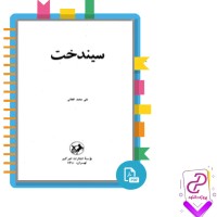 دانلود پی دی اف کتاب سیندخت علی محمد افغانی 310 صفحه PDF