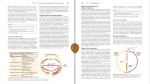 دانلود پی دی اف کتاب زیست شناسی میکرو ارگانیسم ها 1155 صفحه PDF – نوشته به لاتین-1